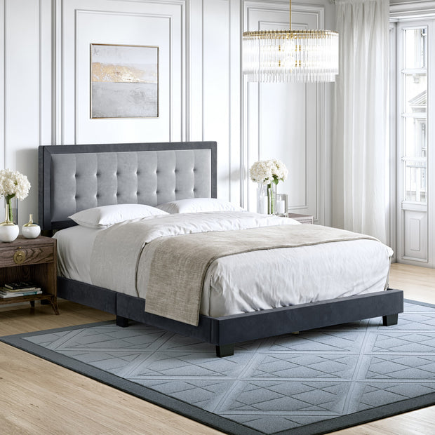 Polina Velvet Upholstered Platform Bed Frame, Grey King